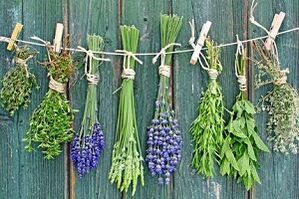 Kräuter zur Behandlung von Zehennagelpilz